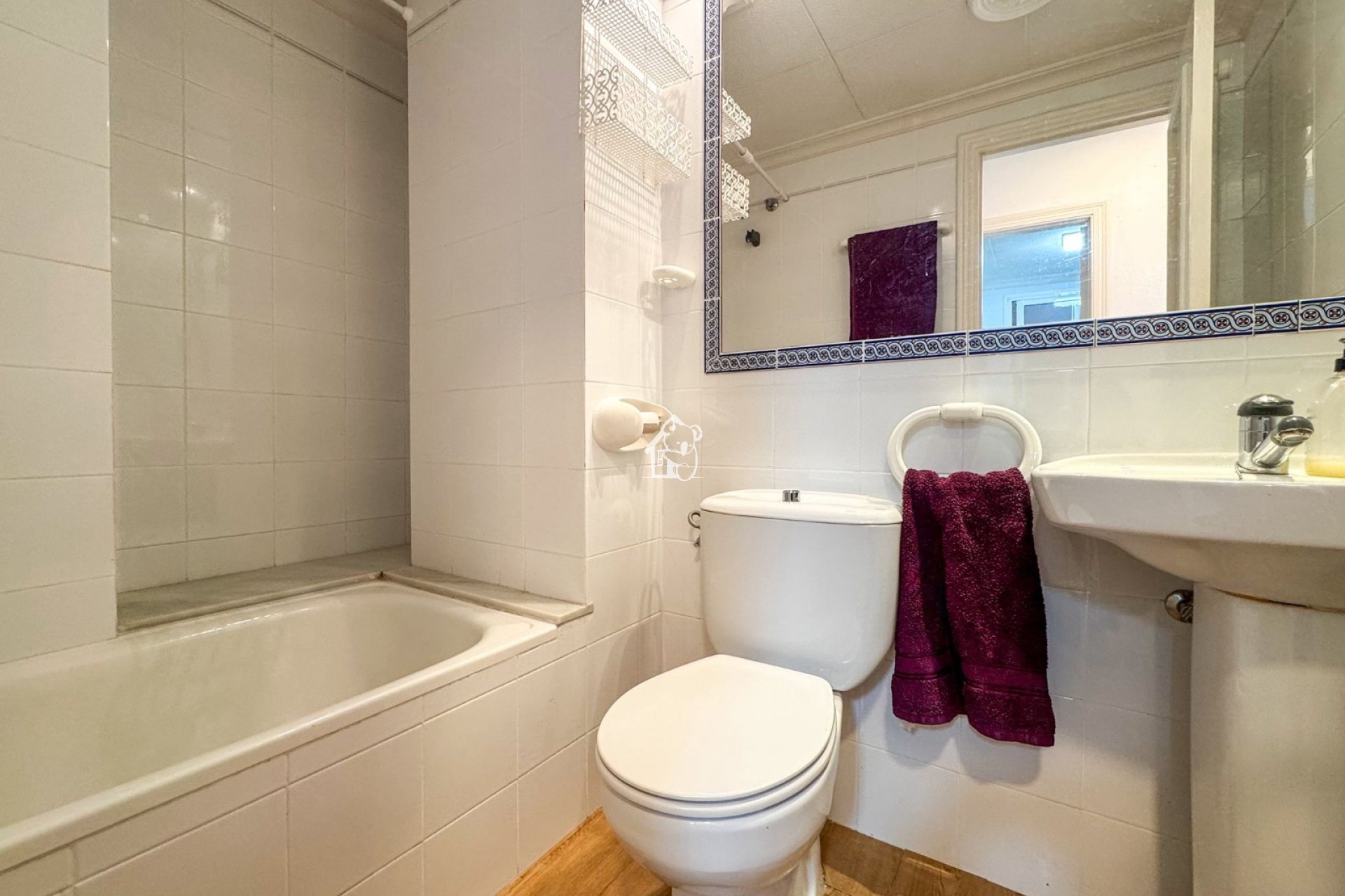 Alquiler - Apartamento / piso - Torrevieja - Centro