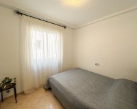 Alquiler - Apartamento / piso - Torrevieja - Centro