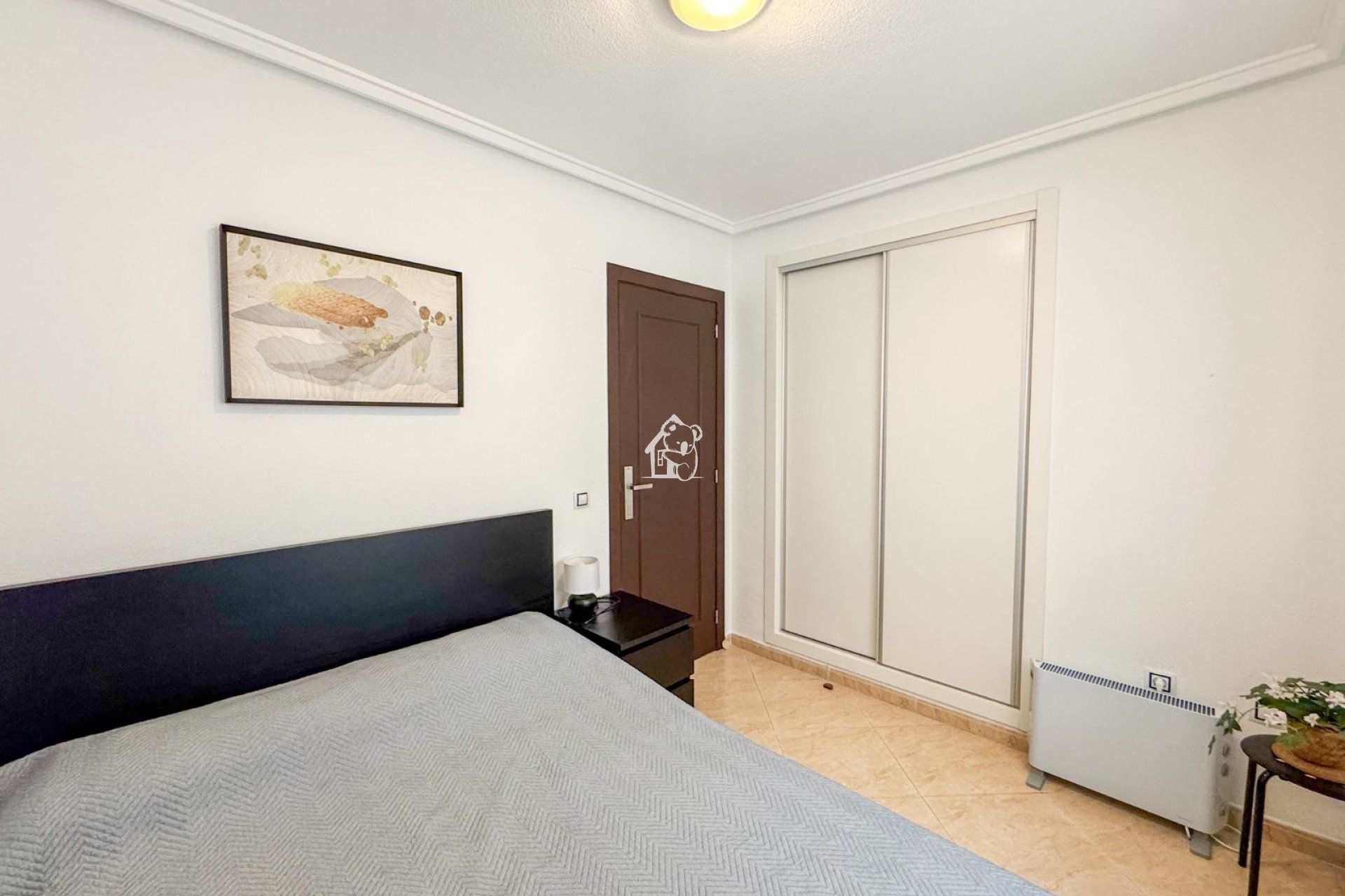 Alquiler - Apartamento / piso - Torrevieja - Centro