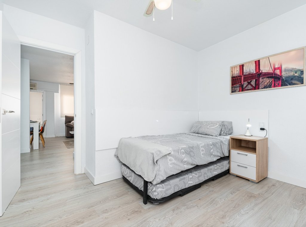 Alquiler - Apartamento / piso - Torrevieja - Centro