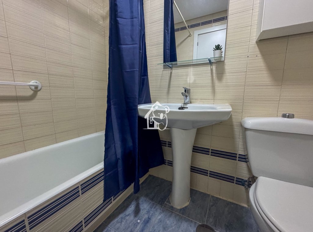 Alquiler - Apartamento / piso - Torrevieja - Centro