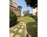 Alquiler - Apartamento / piso - Torrevieja - El Acequión - Los Náufragos