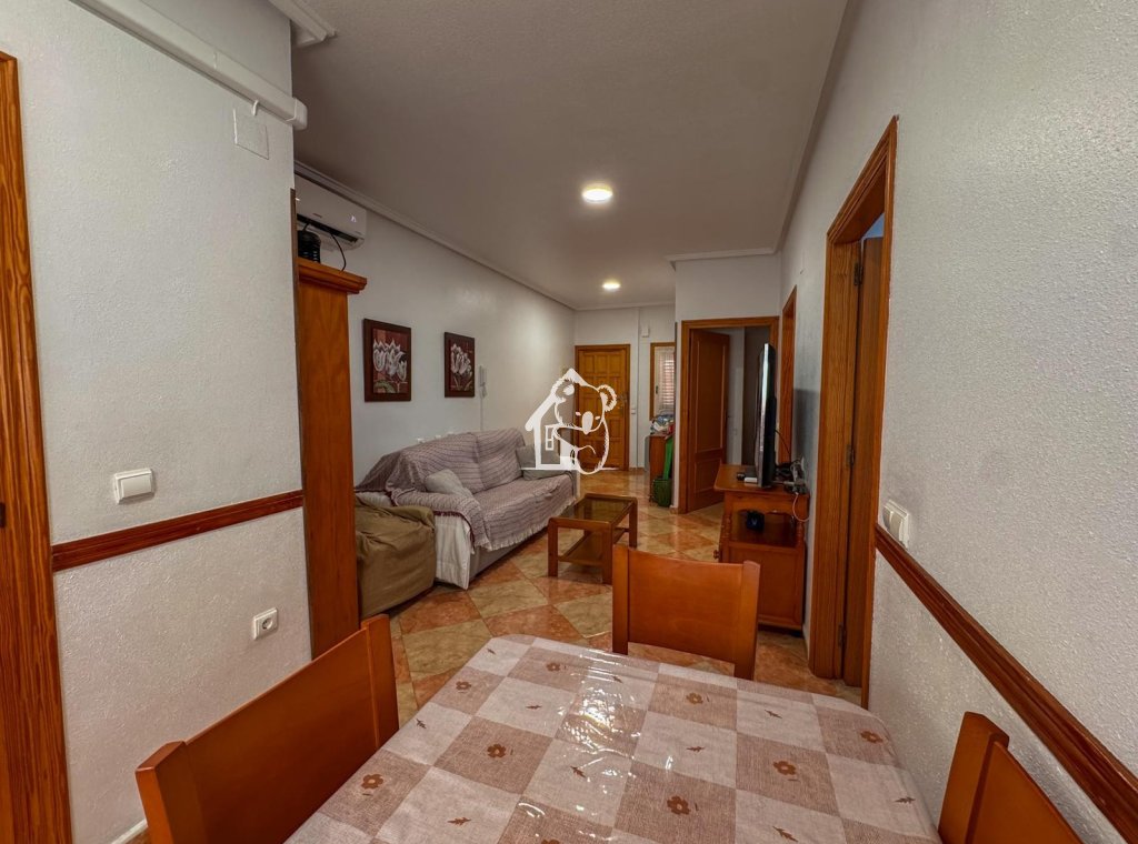 Alquiler - Apartamento / piso - Torrevieja - El Acequión - Los Náufragos