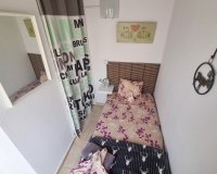 Alquiler - Apartamento / piso - Torrevieja - El Acequión - Los Náufragos