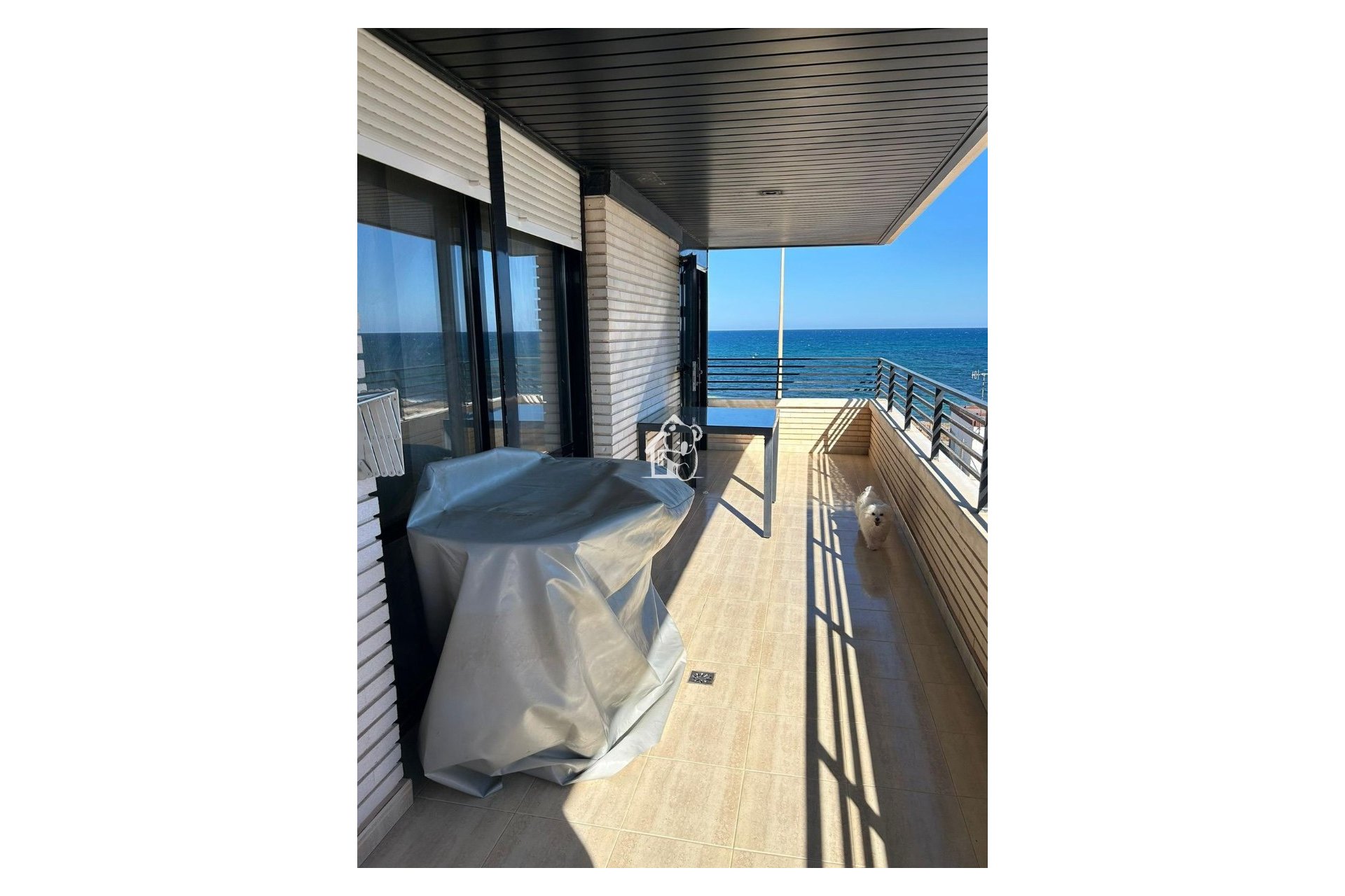 Alquiler - Apartamento / piso - Torrevieja - El Acequión - Los Náufragos