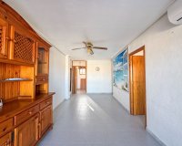 Alquiler - Apartamento / piso - Torrevieja - La Siesta - El Salado -  Torreta