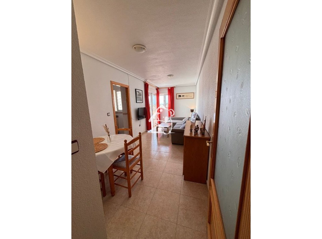 Alquiler - Apartamento / piso - Torrevieja - Nueva Torrevieja - Aguas Nuevas