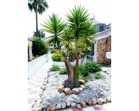 Alquiler - Apartamento / piso - Torrevieja - Nueva Torrevieja - Aguas Nuevas