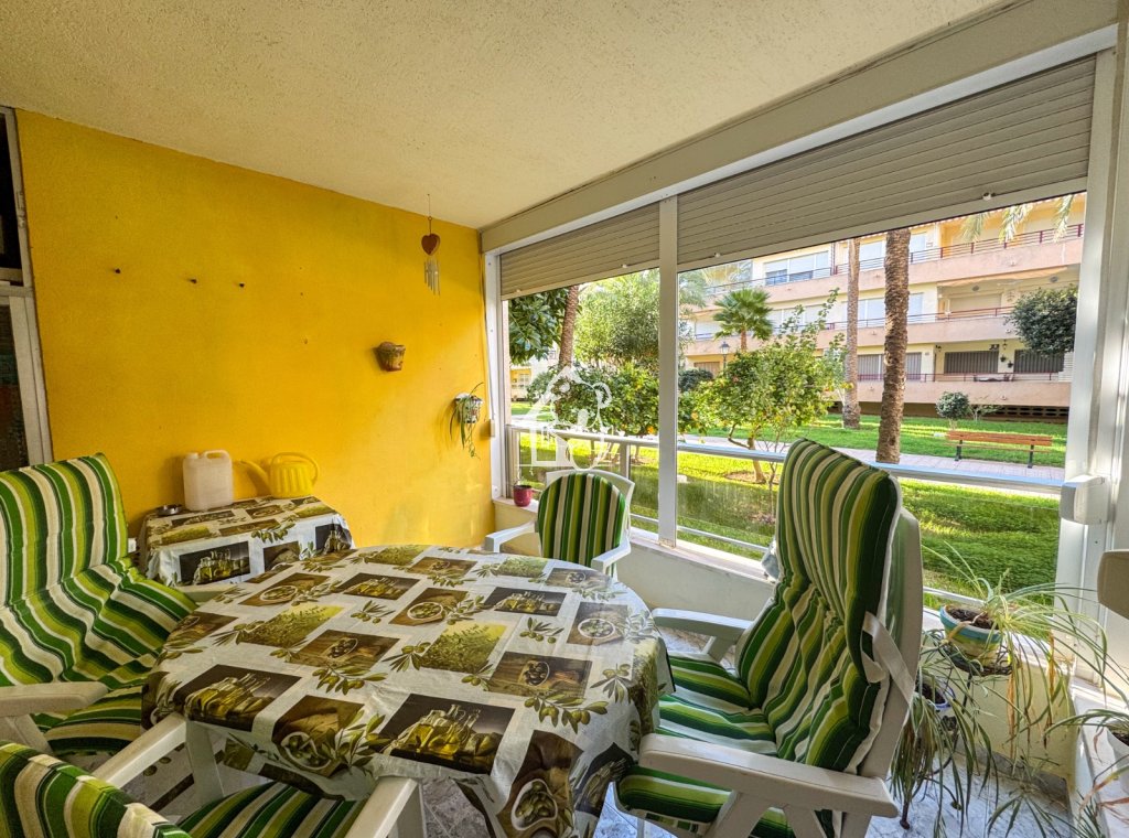 Alquiler - Apartamento / piso - Torrevieja - Playa de los Locos