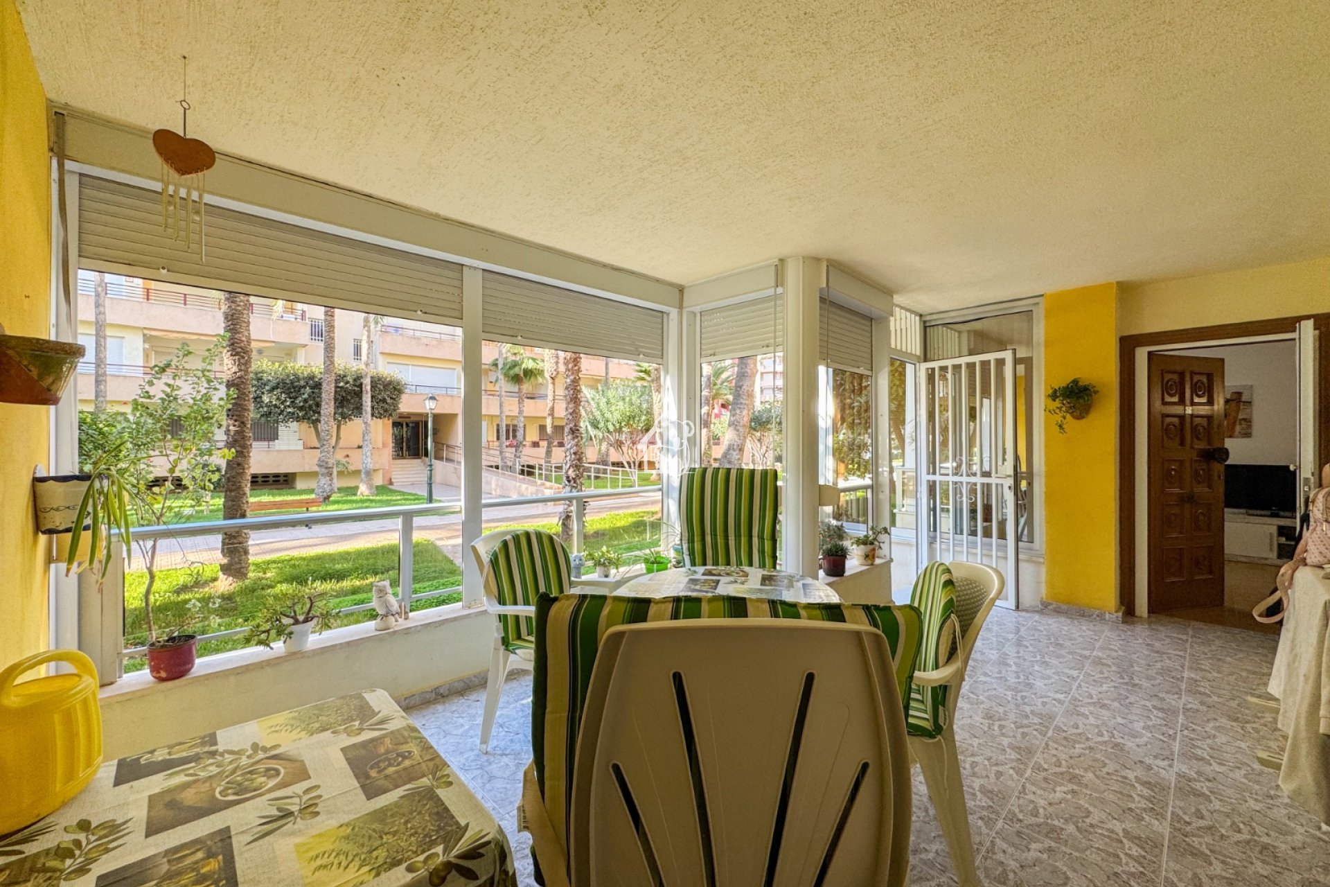 Alquiler - Apartamento / piso - Torrevieja - Playa de los Locos