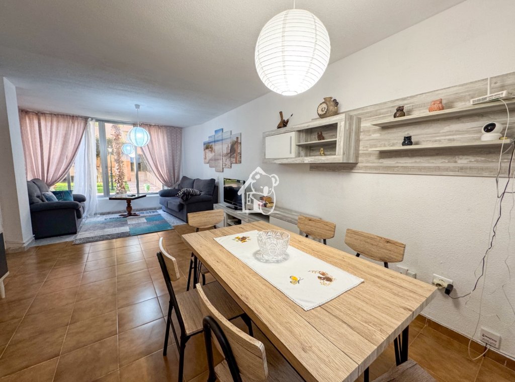 Alquiler - Apartamento / piso - Torrevieja - Playa de los Locos