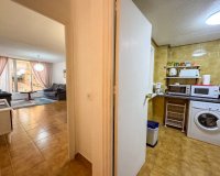 Alquiler - Apartamento / piso - Torrevieja - Playa de los Locos