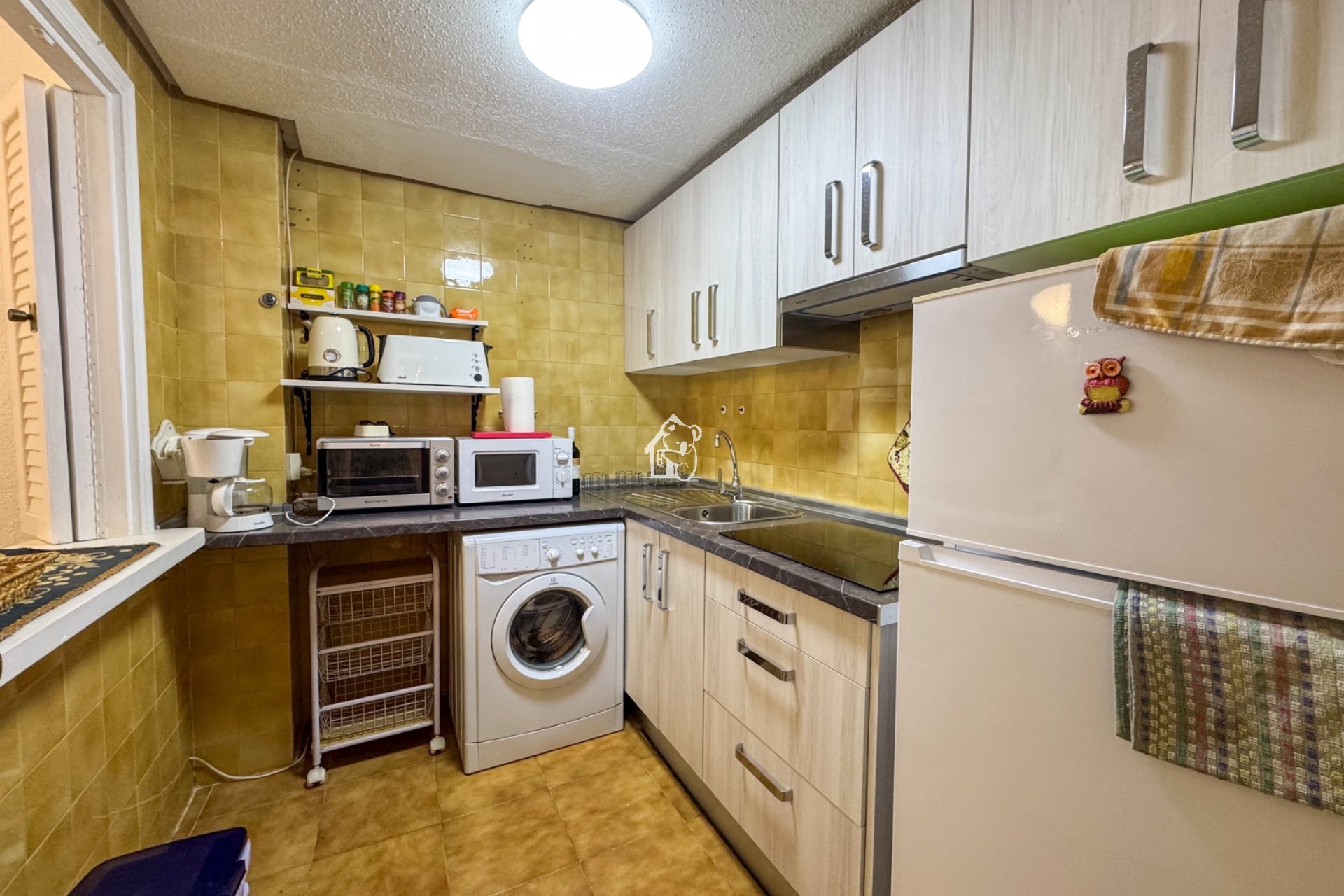 Alquiler - Apartamento / piso - Torrevieja - Playa de los Locos