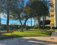 Alquiler - Apartamento / piso - Torrevieja - Playa de los Locos