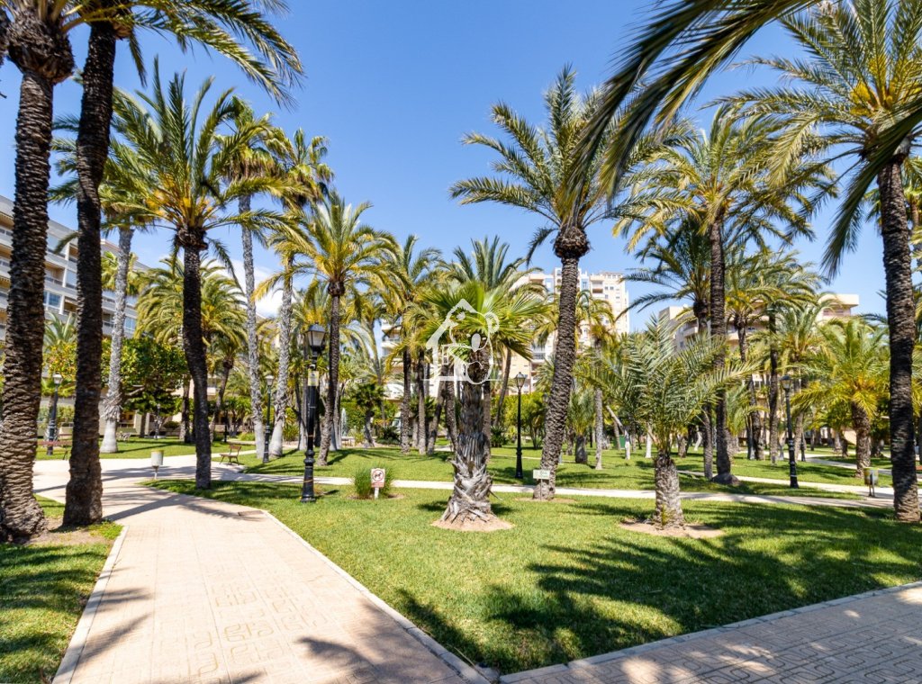 Alquiler - Apartamento / piso - Torrevieja - Playa de los Locos