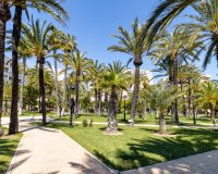 Alquiler - Apartamento / piso - Torrevieja - Playa de los Locos