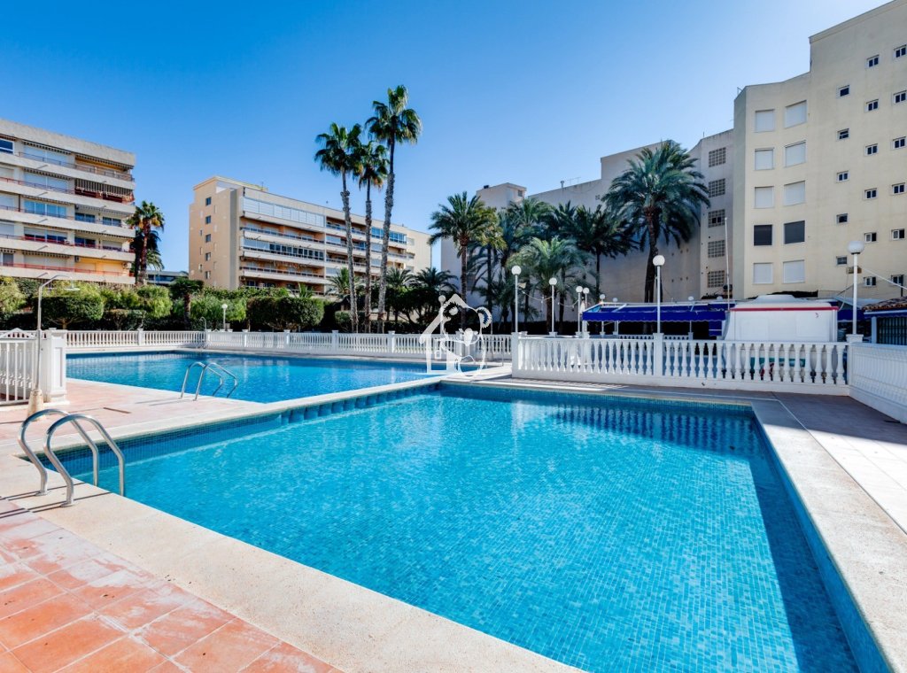Alquiler - Apartamento / piso - Torrevieja - Playa de los Locos