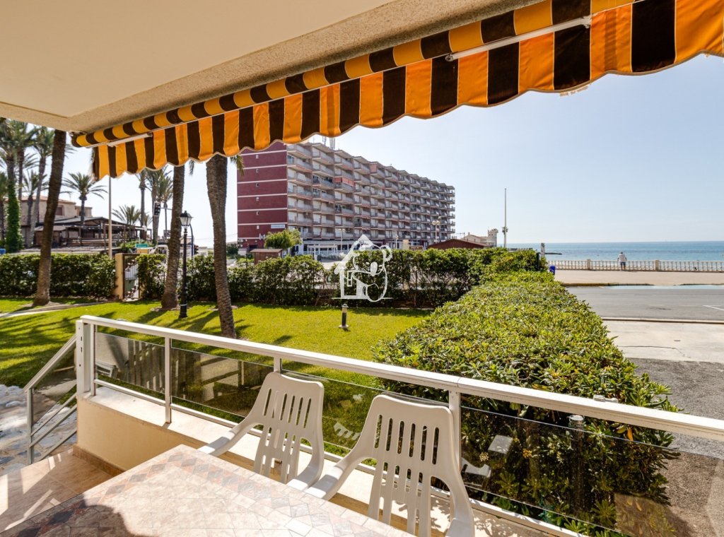 Alquiler - Apartamento / piso - Torrevieja - Playa de los Locos