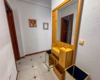 Alquiler - Apartamento / piso - Torrevieja - Playa de los Locos