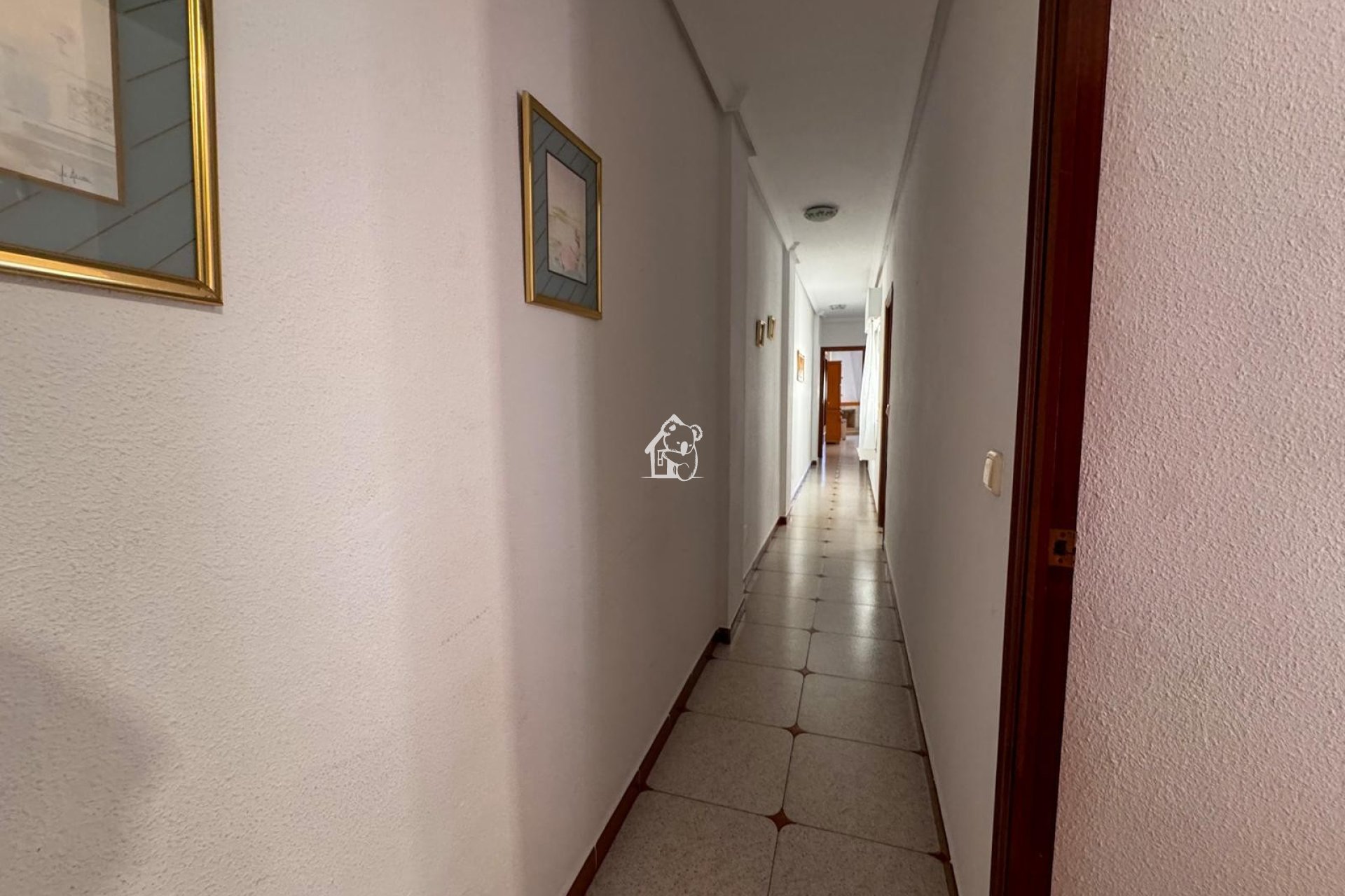 Alquiler - Apartamento / piso - Torrevieja - Playa de los Locos