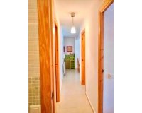 Alquiler - Apartamento / piso - Torrevieja - Playa de los Locos