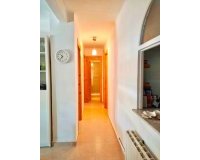 Alquiler - Apartamento / piso - Torrevieja - Playa de los Locos