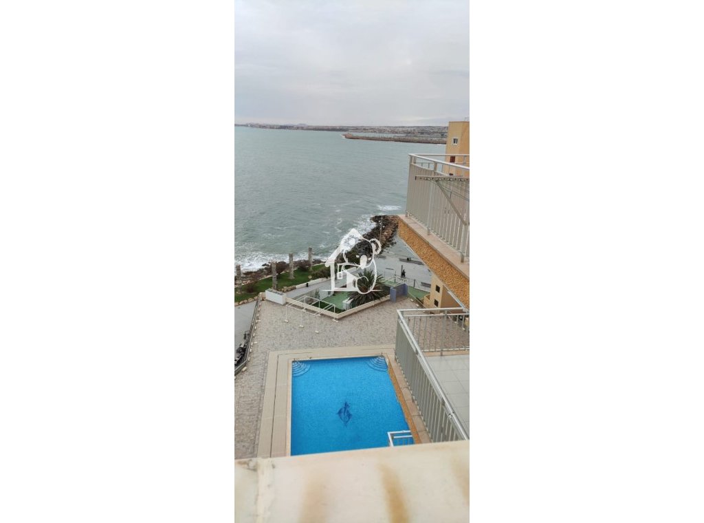 Alquiler - Apartamento / piso - Torrevieja - Playa del Cura
