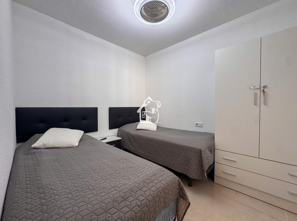 Alquiler - Apartamento / piso - Torrevieja - Playa del Cura
