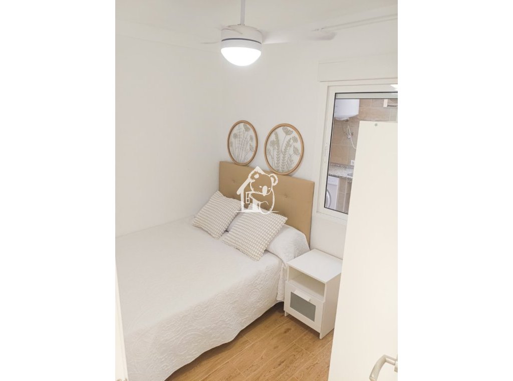 Alquiler - Apartamento / piso - Torrevieja - Playa del Cura