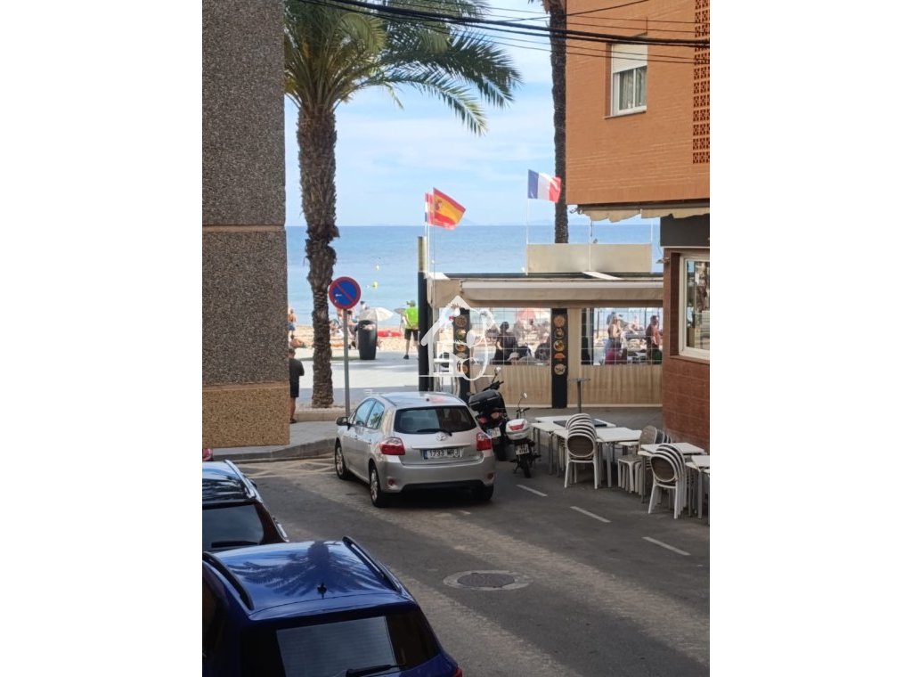 Alquiler - Apartamento / piso - Torrevieja - Playa del Cura