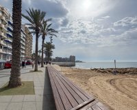 Alquiler - Apartamento / piso - Torrevieja - Playa del Cura
