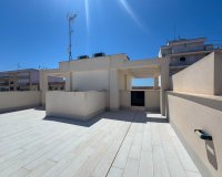 Alquiler - Apartamento / piso - Torrevieja - Playa del Cura