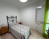 Alquiler - Apartamento / piso - Torrevieja - Playa del Cura