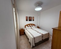 Alquiler - Apartamento / piso - Torrevieja - Playa del Cura