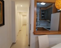 Alquiler - Apartamento / piso - Torrevieja - Playa del Cura