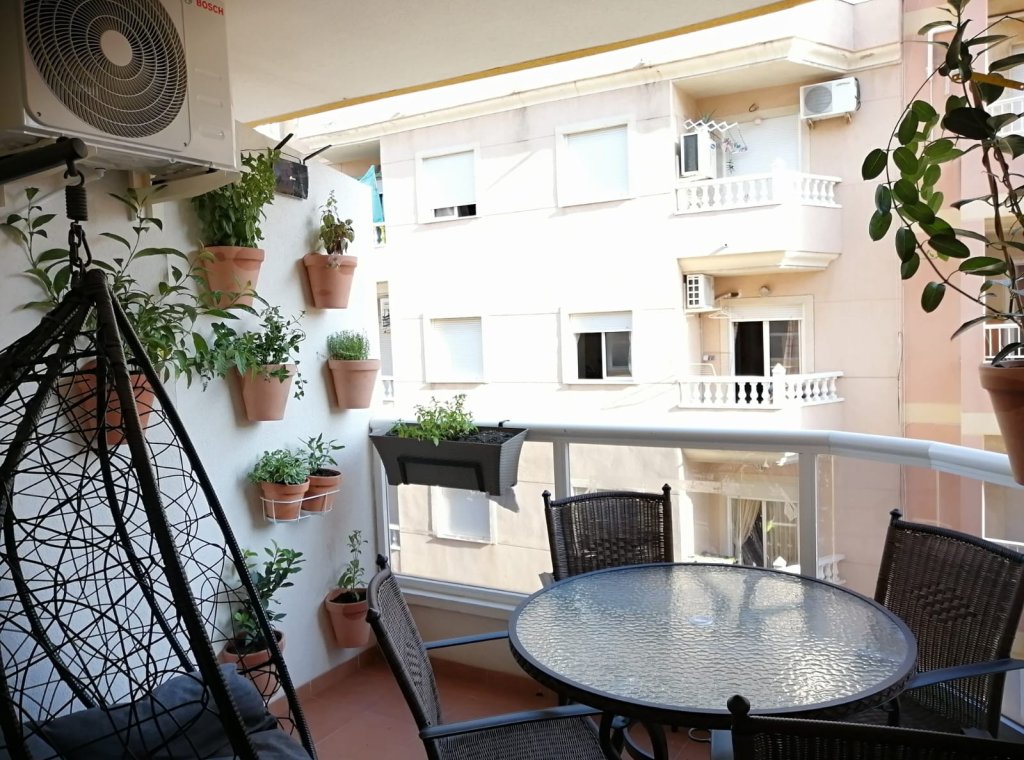 Alquiler - Apartamento / piso - Torrevieja - Playa del Cura
