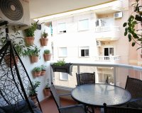 Alquiler - Apartamento / piso - Torrevieja - Playa del Cura