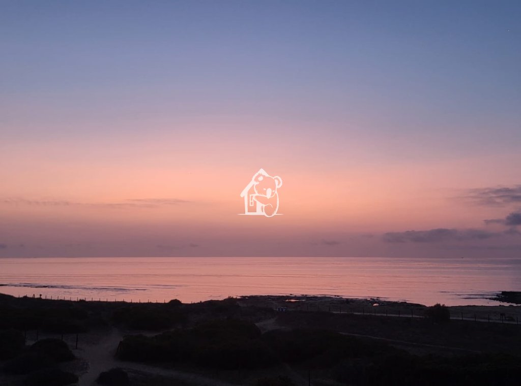 Alquiler - Apartamento / piso - Torrevieja - Torrelamata - La Mata