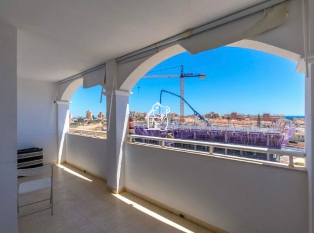 Alquiler - Apartamento / piso - Torrevieja - Torrelamata - La Mata