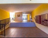 Alquiler - Apartamento / piso - Torrevieja - Torrelamata - La Mata