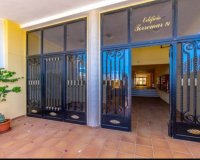 Alquiler - Apartamento / piso - Torrevieja - Torrelamata - La Mata