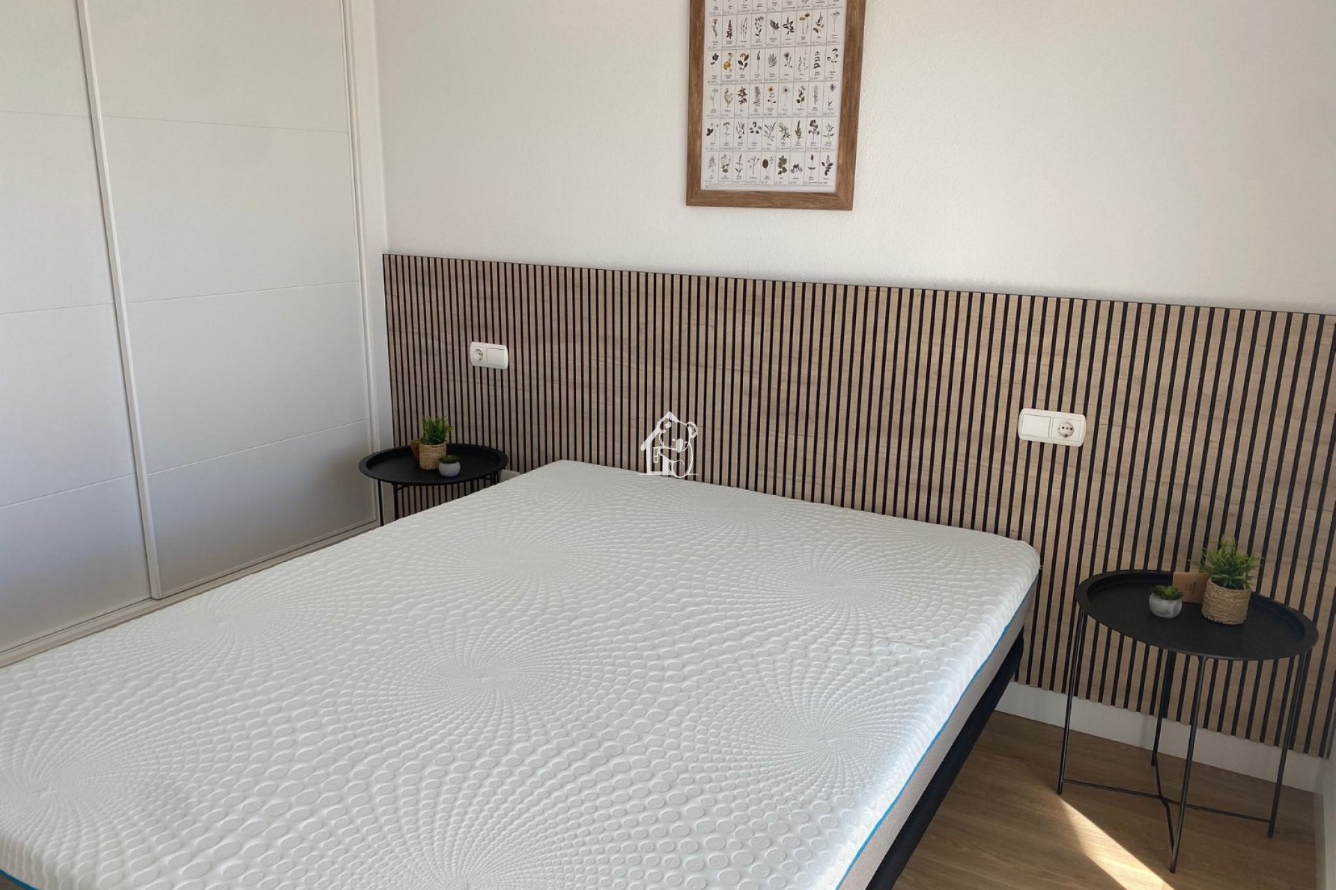 Alquiler - Apartamento / piso - Torrevieja - Torrelamata - La Mata