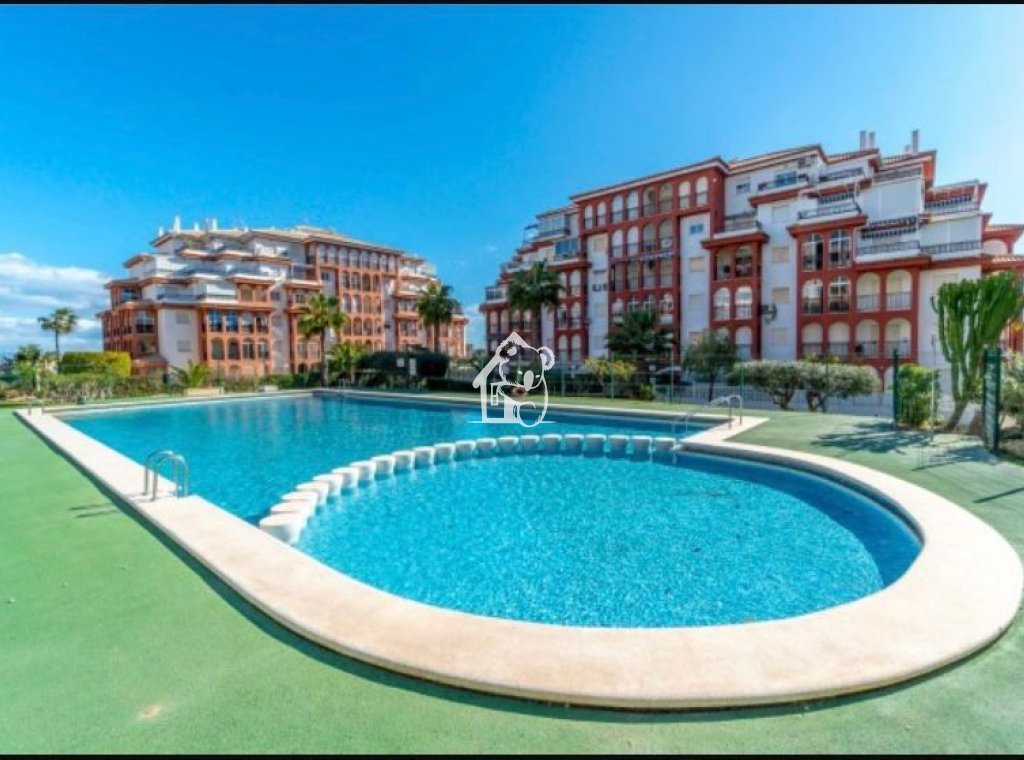 Alquiler - Apartamento / piso - Torrevieja - Torrelamata - La Mata