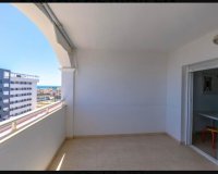 Alquiler - Apartamento / piso - Torrevieja - Torrelamata - La Mata