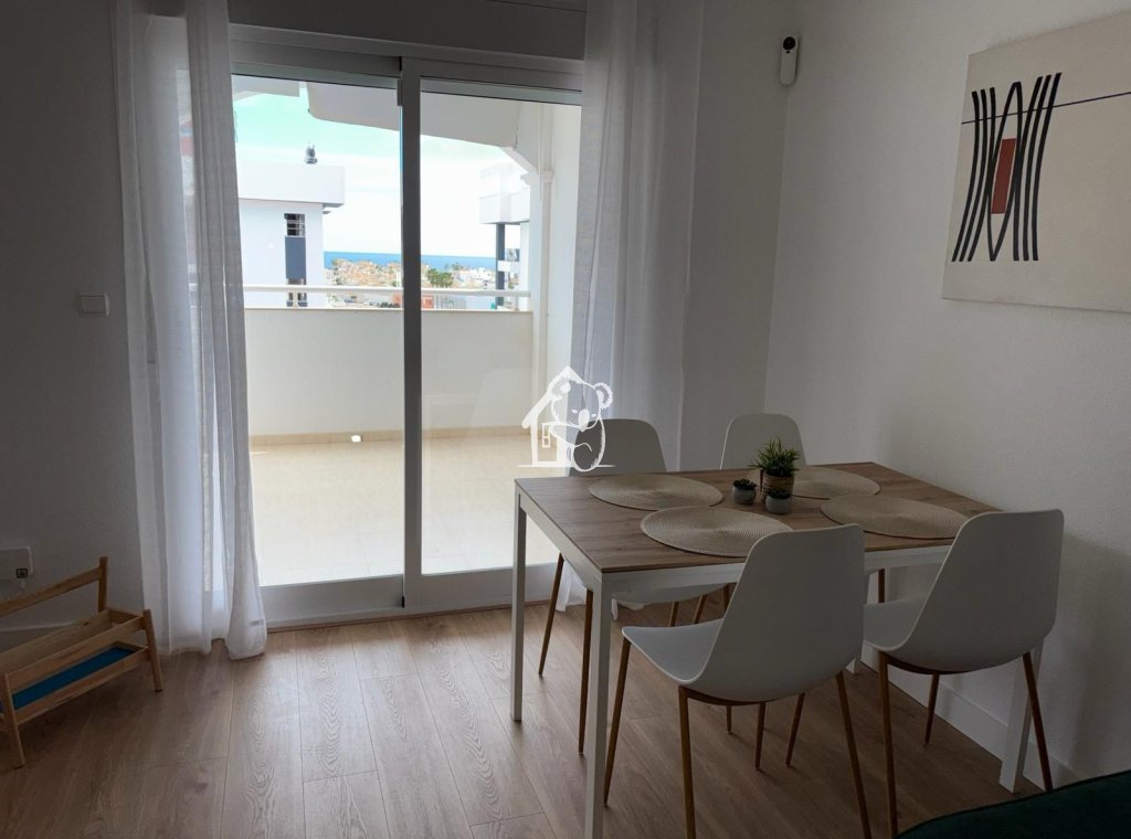 Alquiler - Apartamento / piso - Torrevieja - Torrelamata - La Mata