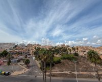 Alquiler - Apartamento / piso - Torrevieja - Torrelamata - La Mata