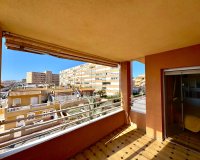 Alquiler - Apartamento / piso - Torrevieja - Torrelamata - La Mata