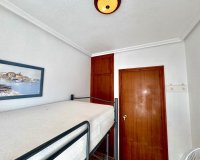 Alquiler - Apartamento / piso - Torrevieja - Torrelamata - La Mata