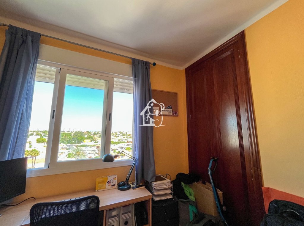 Alquiler - Apartamento / piso - Torrevieja - Torrevieja Centro