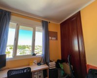 Alquiler - Apartamento / piso - Torrevieja - Torrevieja Centro